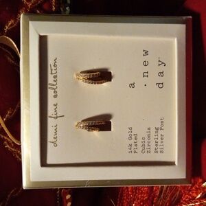 Demi fine collection earrings